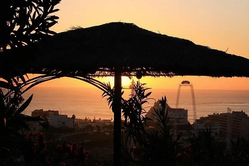 Regency Beach Club Hotel Playa de las Americas   Playa de las Americas (Tenerife)